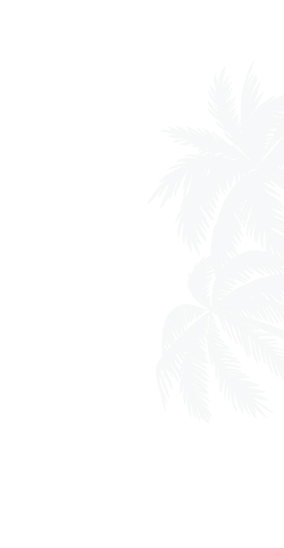 Illustration of a light blue palm tree silhouette on a transparent background, positioned on the right side.