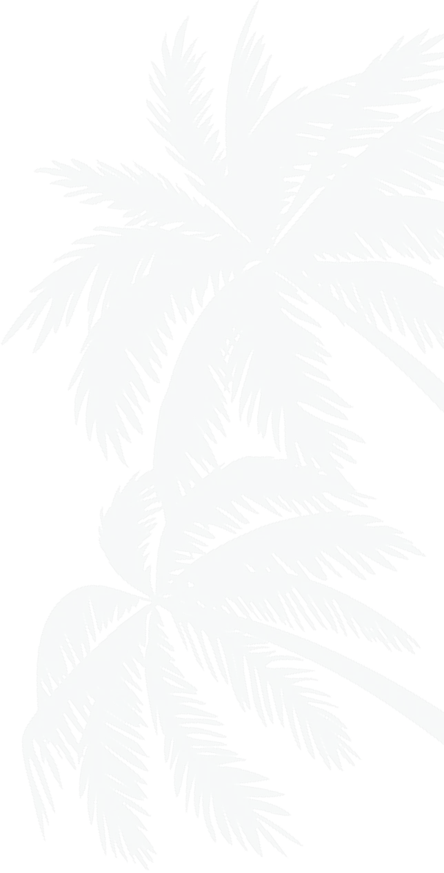 Illustration of a light blue palm tree silhouette on a transparent background, positioned on the right side.