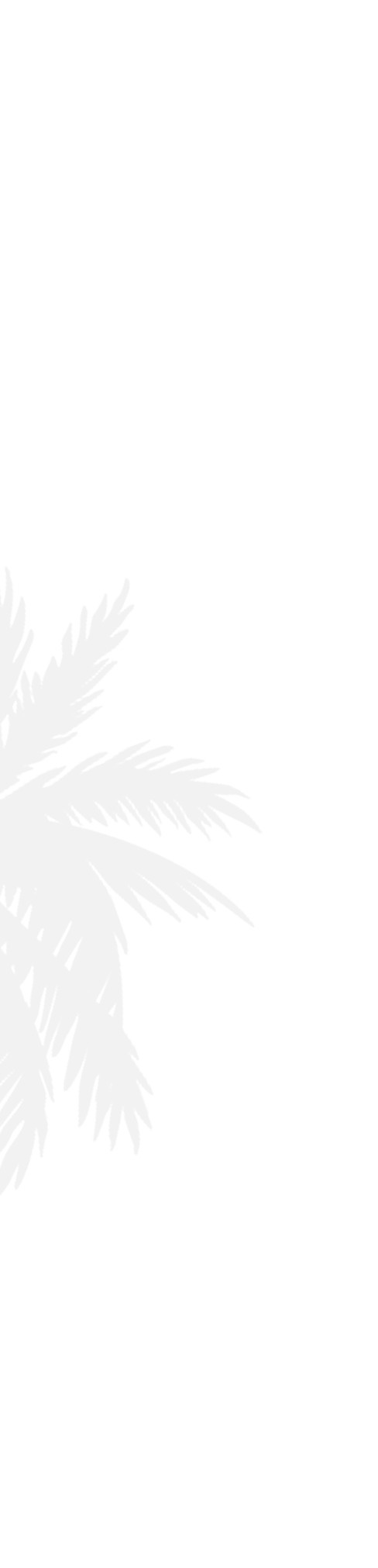 Illustration of a light blue palm tree silhouette on a transparent background, positioned on the right side.